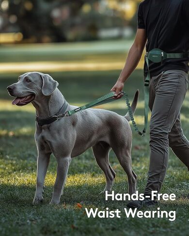MIDOG Multifunctional Dog Leash Hands Free for Large Dogs - Adjustable Waist Leash with Zipper Pounch& Bungee Cord for Jogging/Running/Walking(4-7FT,Green) in Saudi Arabia