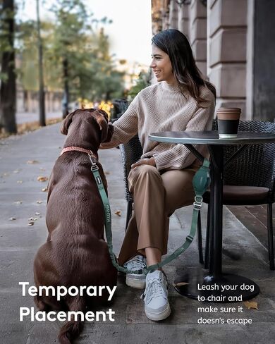 MIDOG Multifunctional Dog Leash Hands Free for Large Dogs - Adjustable Waist Leash with Zipper Pounch& Bungee Cord for Jogging/Running/Walking(4-7FT,Green) in Saudi Arabia
