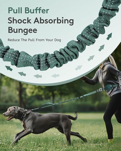 MIDOG Multifunctional Dog Leash Hands Free for Large Dogs - Adjustable Waist Leash with Zipper Pounch& Bungee Cord for Jogging/Running/Walking(4-7FT,Green) in Saudi Arabia
