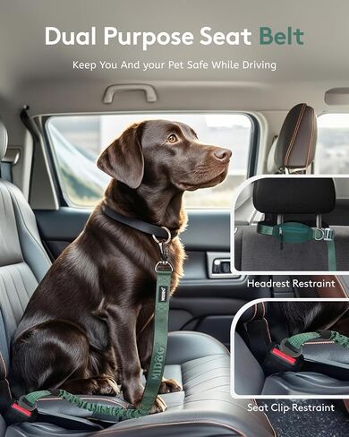 MIDOG Multifunctional Dog Leash Hands Free for Large Dogs - Adjustable Waist Leash with Zipper Pounch& Bungee Cord for Jogging/Running/Walking(4-7FT,Green) in Saudi Arabia