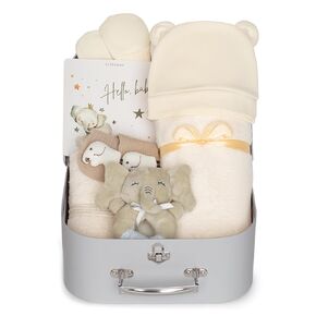 Baby Shower Gifts – Gender-Neutral Baby Gift Basket for Newborn Girls and Boys – Newborn Baby Essentials Gift Basket with Blanket, Towel, Rattle Toy, Socks – Cute Newborn Baby Gifts