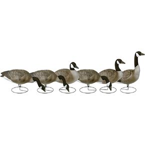 Flambeau Outdoors Waterfowl Decoys & Accessories 8990FBU Storm Front 2 Fullbody Canada Goose Field Decoy - 6 Pack