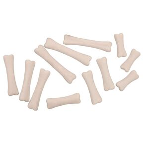 Yellow Door YUS1038 Dinosaur Bones Discovery Set (Pack of 12)