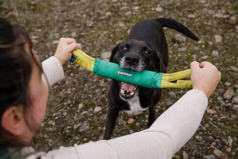 Ruffwear, Pacific Loop Dog Toy, Interactive Tug Toy for Playing and Training, Aurora Teal in Saudi Arabia