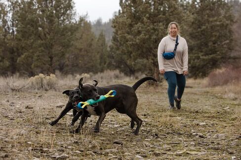 Ruffwear, Pacific Loop Dog Toy, Interactive Tug Toy for Playing and Training, Aurora Teal in Saudi Arabia