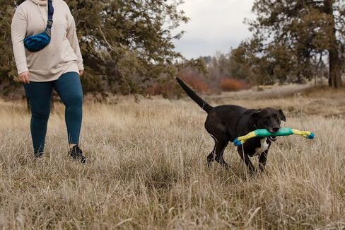 Ruffwear, Pacific Loop Dog Toy, Interactive Tug Toy for Playing and Training, Aurora Teal in Saudi Arabia