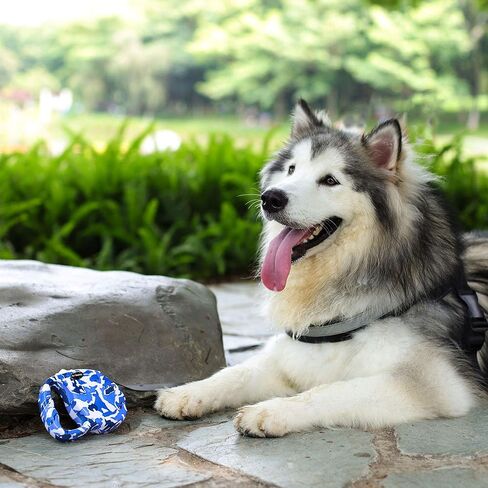 مقود الكلاب القابل للسحب من دوجنيس، مناسب للأطفال، شريط شريط مقاوم للماء بطول 10 - 16 قدم، تدريب على المشي والركض للكلاب الصغيرة والمتوسطة والكبيرة (13 قدمًا / حتى 55 رطلاً، فراولة وردية) in Kuwait