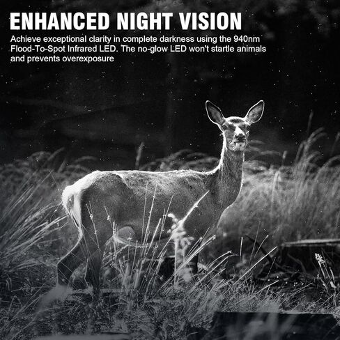 كاميرات LEEDEER Game Hunting Cameras 36MP 4K Trail مع رؤية ليلية، مشغل 0.2 ثانية، زاوية واسعة، نطاق 80 قدمًا، IP66، شاشة LCD 2 بوصة، بطاقة TF سعة 32 جيجابايت - لمراقبة الحياة البرية في الهواء الطلق وأمن المنزل in Kuwait