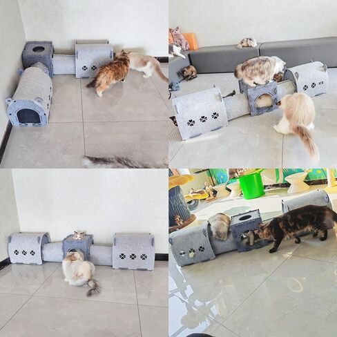 DIY Removable Cat Tunnel Bed, Large 2 Way Cat Tube Self Play, Indoor Cat Condo/Cat House Cube, Collapsible Interactive Peephole Pet Cave Toy for Cat Kitty Kitten Puppy Rabbit L 63" in Kuwait