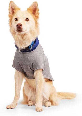 سترة YOULY Shadow Dog، مقاس X-Small in Kuwait