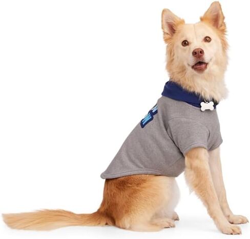 سترة YOULY Shadow Dog، مقاس X-Small in Kuwait