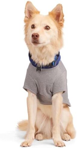 سترة YOULY Shadow Dog، مقاس X-Small in Kuwait