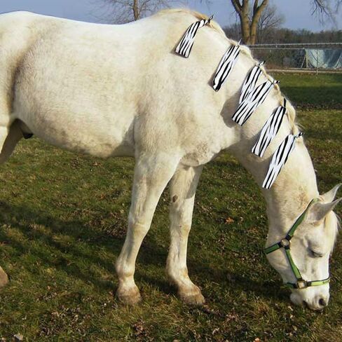 حقائب يد الحصان من رانش - تحمي عرف الحصان من الرياح والشمس والطين وتمنع التشابك والاحتكاك والكسر | مصنوع من الليكرا والنايلون - أبيض in Kuwait