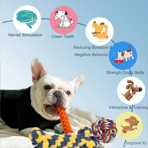 ألعاب حبل للكلاب من يورووان للمضغ العدواني، ألعاب مضغ قوية للكلاب لسلالات الكلاب الكبيرة والمتوسطة الحجم، ألعاب مضغ أسنان لطحن الكلاب، لعبة شد قطنية تفاعلية للكلاب، لعبة مضغ مجموعة من 8 قطع in Kuwait