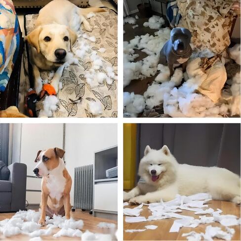 ألعاب حبل للكلاب من يورووان للمضغ العدواني، ألعاب مضغ قوية للكلاب لسلالات الكلاب الكبيرة والمتوسطة الحجم، ألعاب مضغ أسنان لطحن الكلاب، لعبة شد قطنية تفاعلية للكلاب، لعبة مضغ مجموعة من 8 قطع in Kuwait