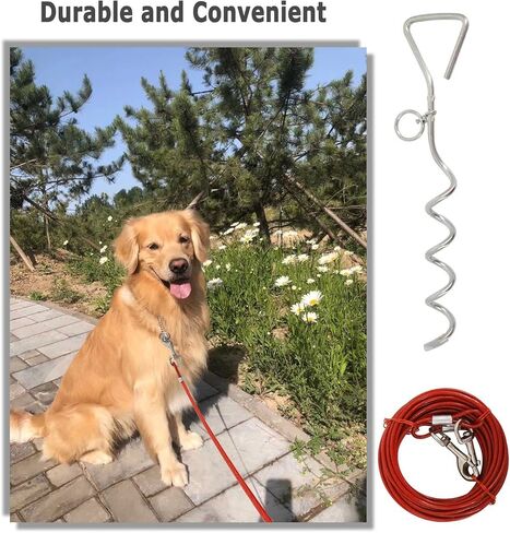 كابل ربط الكلاب ووتد، 30 قدمًا سلاسل للكلاب مقود خارجي للكلاب و16 بوصة للكلاب مضادة للصدأ مناسبة للكلاب المتوسطة والكبيرة التي يصل وزنها إلى 100 رطل، للتخييم والمنتزه والحديقة والفناء in Kuwait