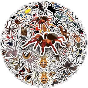 50 Packs Spider Stickers Water Bottles Laptop Phone Computer Guitar Skateboard Hydroflasks Spider Vinyl Sticker Waterproof Aesthetic Trendy Decals for Kids Teens Girls Adults