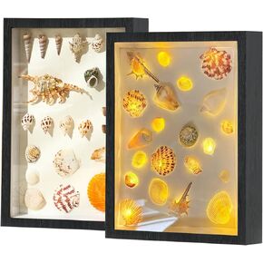 Shadow Box Frame Seashell Display Box 12x9 with Fairy Light and Pearl Shadow Box Display Case Box 1 Pack（White）