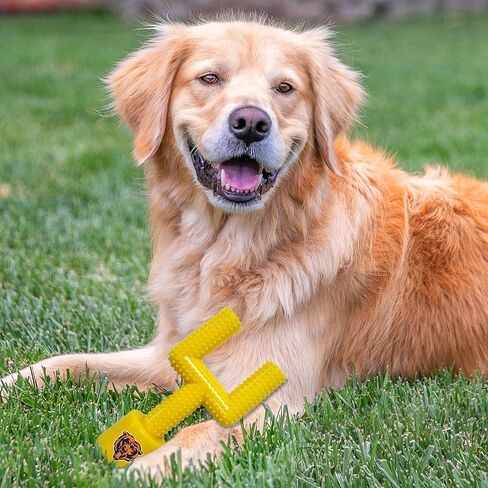 NFL Cincinnati Bengals Mega-Chew Hard Nylon Bacon-Flavored Dog Bone Football Goal Post Chew Toy. Interactive Tasty Fun Dog Chew Toy. Indestructible Strong & Durable Pet Chew Toy. Extra Tough Dog Toys in Saudi Arabia