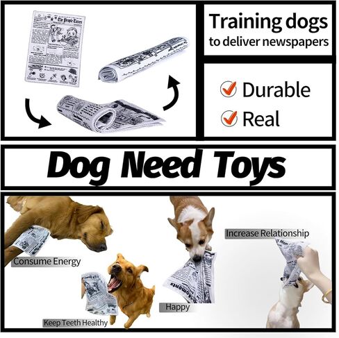 Interactive Dog Toys for Boredom - Newspaper Squeaker Toys - 4PCS Newspaper Dog Toy for Puppy Small Medium Furry Friends in Kuwait