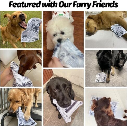 Interactive Dog Toys for Boredom - Newspaper Squeaker Toys - 4PCS Newspaper Dog Toy for Puppy Small Medium Furry Friends in Kuwait