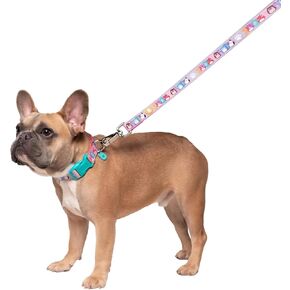Squishmallows Original Squish Squad Pet Leash - Official Jazwares Pets Walking Apparel for Dogs