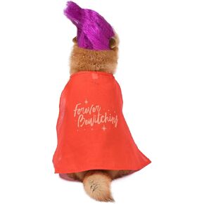 Hocus Pocus Mary Sanderson Dog Costume, Large | Halloween Costumes for Dogs, Dog Witch Costume, Official Dog Product of Disney for Pets
