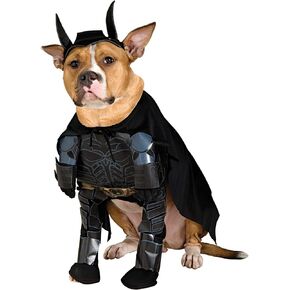 Batman The Dark Knight Rises Pet Costume, Large