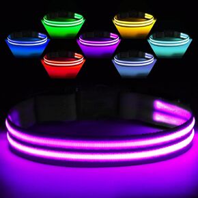 Light Up Dog Collar Rechargable,Reflective LED Collars for Small Medium Large Dogs,Lighted Dog Collars Lights for Night Walking-Waterproof,Black,S