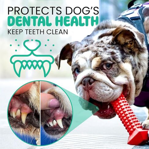 Dog Chew Toys for Aggressive Chewers – Tough Chew Toys for Dogs with Treat Dispenser – Indestructible Rubber Dog Toy for Teeth Cleaning – Chew Bones for Large Dogs in Saudi Arabia