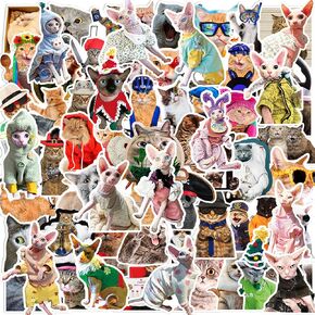 116 PCS Funny Cat Stickers, Cute Cat Sticker for Laptop Scrapbook, Water Bottles, Guitar, Suitcase Phone, Snowboard, Meme Cat Sticker Waterproof Vinyl for Water Bottle