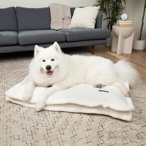 NANDOG Pet Gear Large Pillow Pet Bed with Removable & Washable Cover for Dogs (Ivory, Cloud)