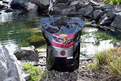 EasyPro PC1 Platinum Koi & Goldfish Food - الحد الأقصى. اللون/مدعم بالسبيرولينا والمكونات البحرية الأخرى لتعزيز اللون الطبيعي لأسماك الكوي والسمك الذهبي / علبة سعة 20 أونصة in Kuwait