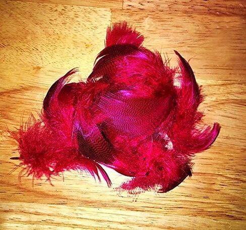 ريش مصبوغ باللون الأحمر من Creative Angler Mallard لربط الذباب أو ربط الذباب in Kuwait