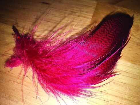 ريش مصبوغ باللون الأحمر من Creative Angler Mallard لربط الذباب أو ربط الذباب in Kuwait