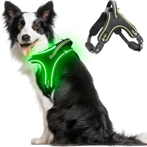 Light Up Dog Harness No Pull LED Dog Harness with Handle Rechargeable Rainproof Dog Harness with Lights for Night Walking Lighted Dog Vest Harness for Small Medium Large Dogs (Green, M) in Saudi Arabia