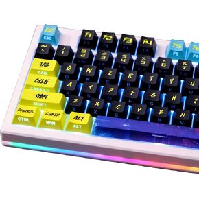 PBT Keycaps - Side Printed Keycap Set,135 Keys Double Shot Shine Through Custom Keycaps,Cherry Profile Keyboard Keycaps for Cherry MX Switches Mechanical Keyboards
