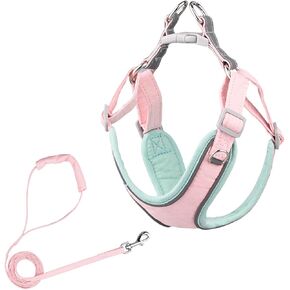 Dogs Kingdom No Pull Escape Proof Harness - Soft Reflective Dog Cat Vest - Step in Pet Harness Leash Set - Adjustable Outdoor Harness for Small Medium Pets,Green,S
