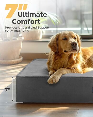 سرير كلب Veehoo مقاوم للماء مقاس 7 بوصات للكلاب الكبيرة - سرير كلب لتقويم العظام مقاس XL مع بطانة مقاومة للماء، سرير كلب من إسفنج الذاكرة قابل للغسل مع غطاء من جلد الغزال قابل للإزالة وقاعدة مانعة للانزلاق in Kuwait