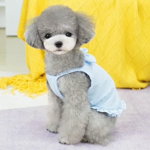 Lovely Dog Dress Dog Shirt Breathable Pet T-Shirt Puppy Clothes Shirt Pet Apparel for Summer Dog Vest Comfortable Pet Clothes for Small Dogs Cute Pet Vest Dog Sundress for Small Dogs Girl（Red,XL） in Saudi Arabia