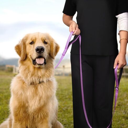Didog 6 FT Dog Walking Leashes with 2 Padded Handles,Traffic Handle for Extra Control, Fit Small Medium Large Breed Dogs, Blue in Saudi Arabia