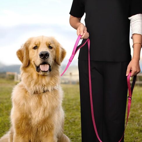 Didog 6 FT Dog Walking Leashes with 2 Padded Handles,Traffic Handle for Extra Control, Fit Small Medium Large Breed Dogs, Blue in Saudi Arabia
