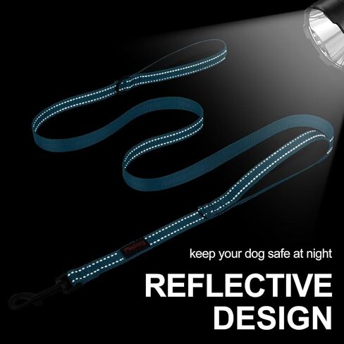 Didog 6 FT Dog Walking Leashes with 2 Padded Handles,Traffic Handle for Extra Control, Fit Small Medium Large Breed Dogs, Blue in Saudi Arabia