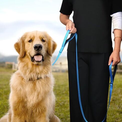 Didog 6 FT Dog Walking Leashes with 2 Padded Handles,Traffic Handle for Extra Control, Fit Small Medium Large Breed Dogs, Blue in Saudi Arabia