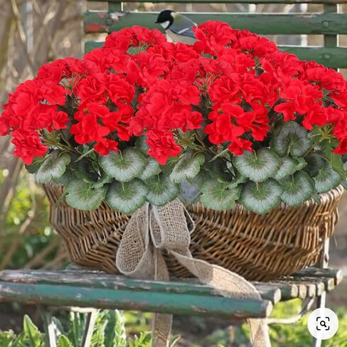 2 Pcs Artificial Flowers Geranium Bush Artificial Flowers Begonia Pink Silk Geranium Flowers for Outdoors Artificial Geraniums Bundles for Planter Indoor Garden Home Decoration Wedding in Saudi Arabia
