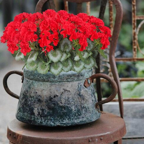 2 Pcs Artificial Flowers Geranium Bush Artificial Flowers Begonia Pink Silk Geranium Flowers for Outdoors Artificial Geraniums Bundles for Planter Indoor Garden Home Decoration Wedding in Saudi Arabia