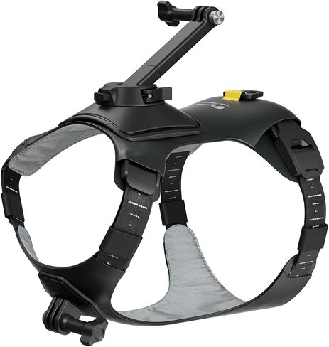 Insta360 حامل لحزام الحيوانات الأليفة مقاس M in Saudi Arabia