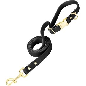PetBonus Waterproof Dog Leash, 5 FT Odor Proof Walking Training Lead for Small Medium Dog, Adjustable Handle with Side Release Buckle (M, Black)