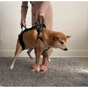 Pro Full-Body Dog Lifting Harness – Supportive Dog No-Pull Harness for Large Dogs for Rehabilitation, Arthritis, and Paralysis (Medium)