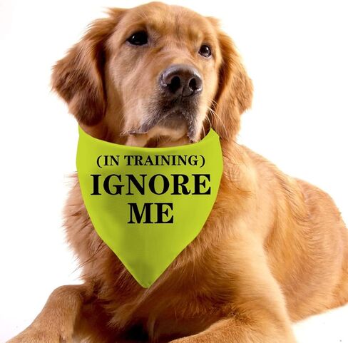 PWHAOO قطعة واحدة من باندانا Ignore Me in Training Dog Bandana Yellow Dog Bandana Anxious Dog Reactive Dog Bandana (تجاهلني (في التدريب) D) in Saudi Arabia